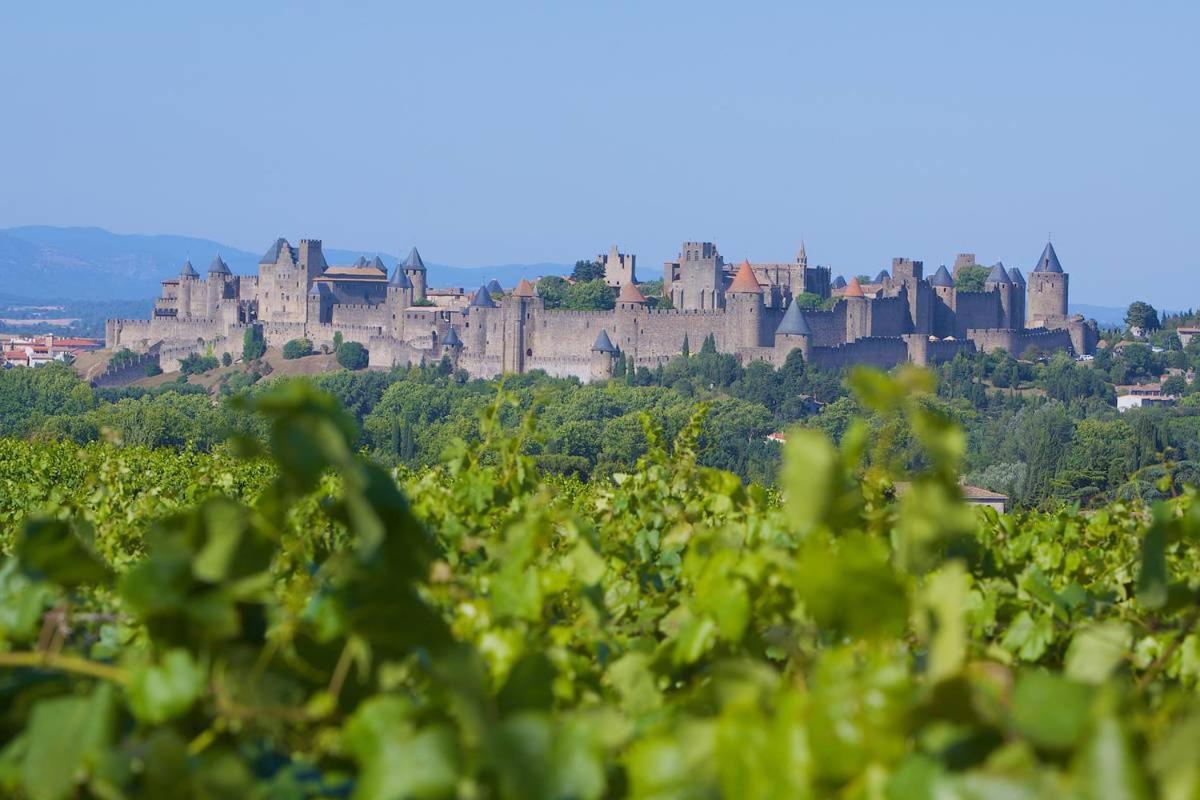 Tout Confort ! Climatisation, Calme, Piscine, Parking Gratuit, Terrasse, Wifi Appartement Carcassonne Buitenkant foto