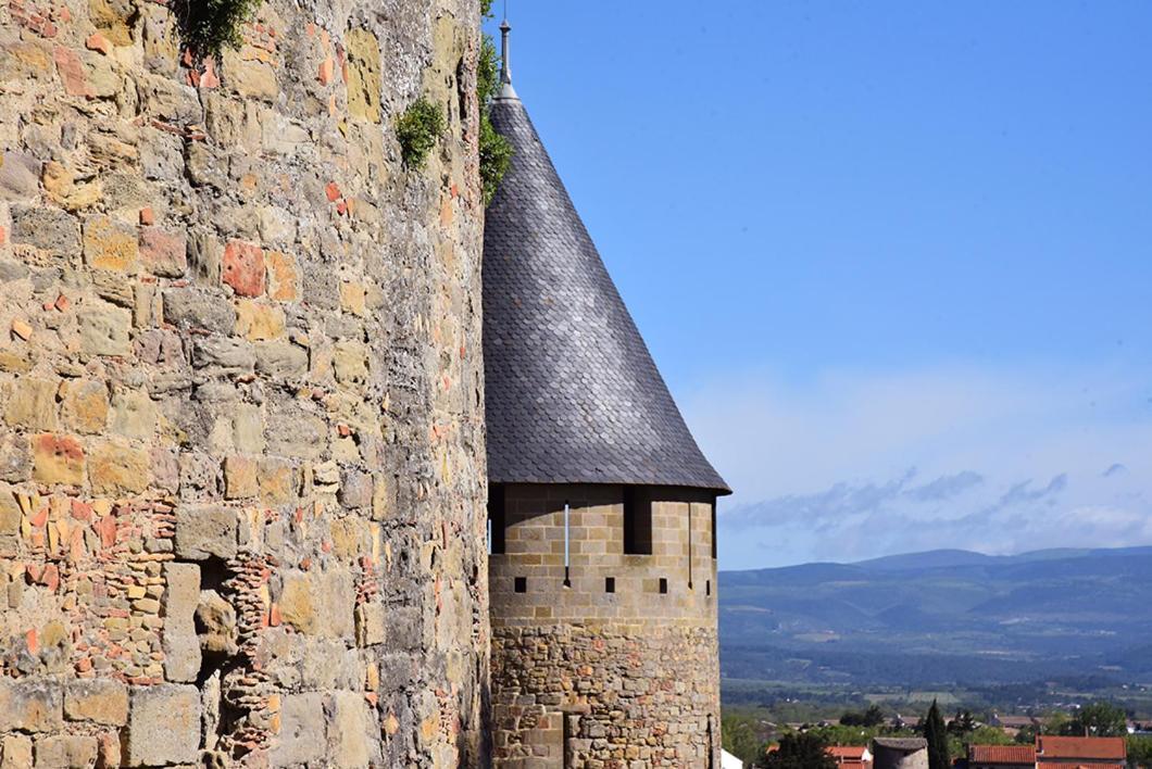 Tout Confort ! Climatisation, Calme, Piscine, Parking Gratuit, Terrasse, Wifi Appartement Carcassonne Buitenkant foto